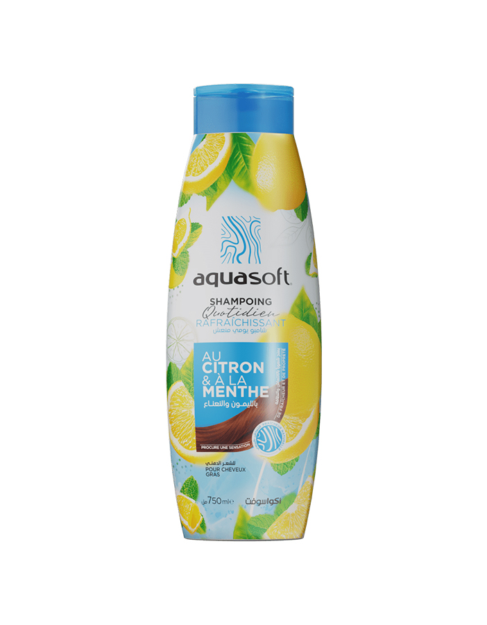 Shampooing Quotidien 750ML CITRON ET MENTHE