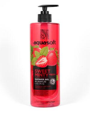 GEL DOUCHE 750 ML SWEET MINTY